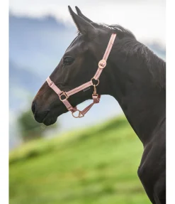 Online Licol poulain et shetland Shimmering Licols Pour Poneys & Poulains|Licols Synthétiques