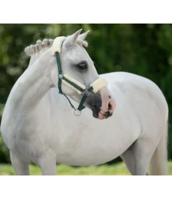 Hot Licol poulain et shetland en polaire Teddy Cozy Adjustable Fourrure D'Agneau|Licols Pour Poneys & Poulains