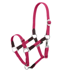 Sale Licol poulain et shetland Katy Licols Synthétiques|Licols En Cuir