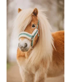 Outlet Licol pour poulain et shetland Shine Licols Pour Poneys & Poulains|Longes