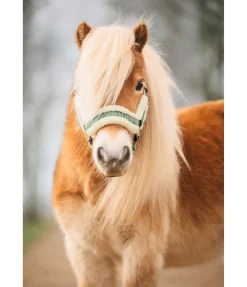 Outlet Licol pour poulain et shetland Shine Licols Pour Poneys & Poulains|Longes