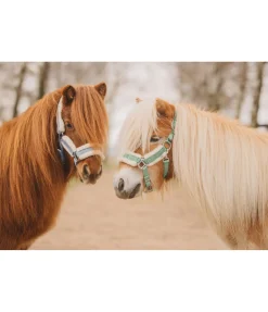 Outlet Licol pour poulain et shetland Shine Licols Pour Poneys & Poulains|Longes