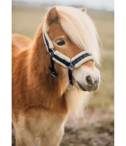 Hot Licol pour poulain et shetland Shine Licols Pour Poneys & Poulains|Longes