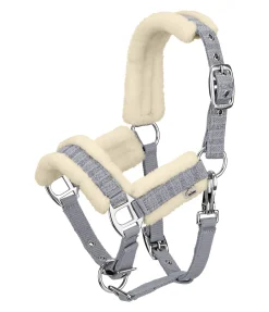 Discount Licol pour poulain et shetland Shine Licols Pour Poneys & Poulains|Longes