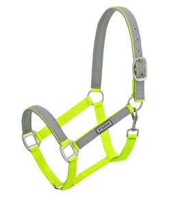 Best Licol réfléchissant Shiny Licols Pour Poneys & Poulains|Licols De Sécurité