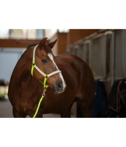 Best Licol réfléchissant Shiny Licols Pour Poneys & Poulains|Licols De Sécurité
