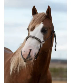 Online Licol sans noeuds Bonny Licols À Noeuds