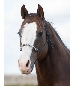 Sale Licol sans noeuds Bonny Licols À Noeuds