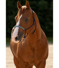 Discount Licol sans noeuds Bonny Licols À Noeuds