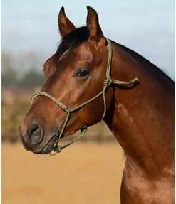 Hot Licol sans noeuds Bonny Licols À Noeuds