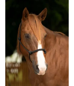 Best Licol éthologique Bo Licols À Noeuds