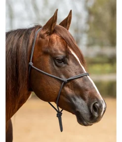 Licol éthologique Bo Licols À Noeuds