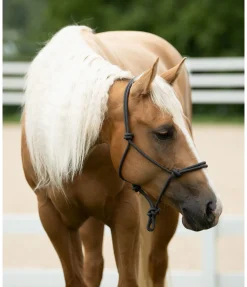 Licol éthologique Bo Licols À Noeuds