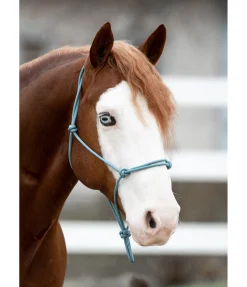 Sale Licol éthologique Bo Licols À Noeuds