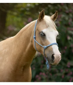 Sale Licol éthologique Bo Licols À Noeuds