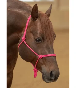 Sale Licol éthologique Bo Licols À Noeuds