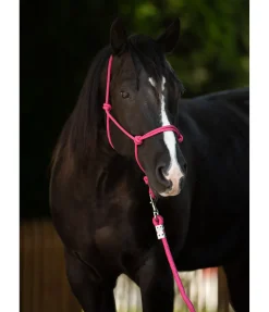 Sale Licol éthologique Bo Licols À Noeuds