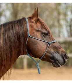 Licol éthologique Bo Licols À Noeuds