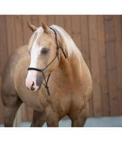 Outlet Licol éthologique Cuero Licols À Noeuds