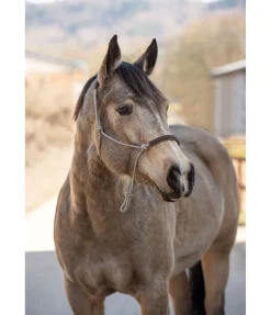 Hot Licol éthologique Cuero Licols À Noeuds