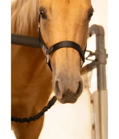 Discount Longe d'attache de transport Flexi Rangements & Supports|Equipement De Carrière & Manège