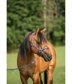 Clearance Longe de travail au sol Barrie Longes