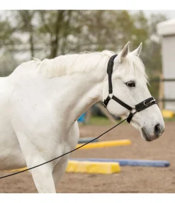 New Longe de travail courte Longes