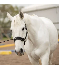 New Longe de travail courte Longes