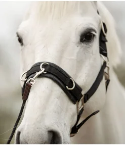 New Longe de travail courte Longes