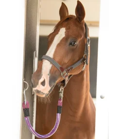 Clearance Longe pour van Accessoires Pour Vans