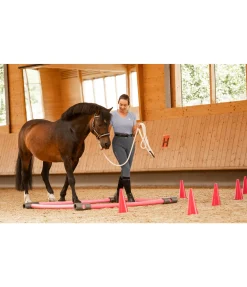 Best Lot de cônes Equipement De Carrière & Manège