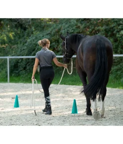 Lot de cônes Equipement De Carrière & Manège