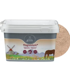 Online Magnésium + Aliments Complémentaires