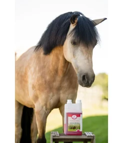 Outlet Magnésium liquide Aliments Complémentaires