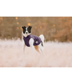 Sale Manteau avec doublure en polaire Teddy pour chien Archie, 160 g Manteaux D'Hiver Avec Garnissage, À Partir De 50G