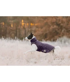 Sale Manteau avec doublure en polaire Teddy pour chien Archie, 160 g Manteaux D'Hiver Avec Garnissage, À Partir De 50G