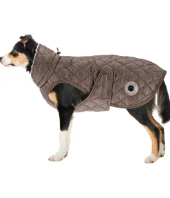 New Manteau avec doublure en polaire Teddy pour chien Archie, 160 g Manteaux D'Hiver Avec Garnissage, À Partir De 50G