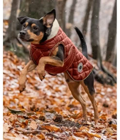 Discount Manteau avec doublure en polaire Teddy pour chien Archie, 160 g Manteaux D'Hiver Avec Garnissage, À Partir De 50G