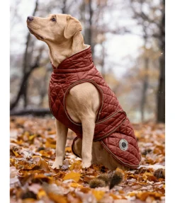 Discount Manteau avec doublure en polaire Teddy pour chien Archie, 160 g Manteaux D'Hiver Avec Garnissage, À Partir De 50G