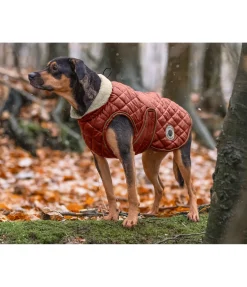 Discount Manteau avec doublure en polaire Teddy pour chien Archie, 160 g Manteaux D'Hiver Avec Garnissage, À Partir De 50G