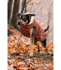 Discount Manteau avec doublure en polaire Teddy pour chien Archie, 160 g Manteaux D'Hiver Avec Garnissage, À Partir De 50G