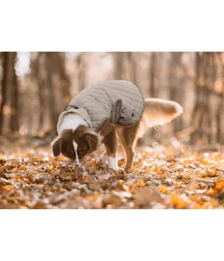 Hot Manteau avec doublure en polaire Teddy pour chien Archie, 160 g Manteaux D'Hiver Avec Garnissage, À Partir De 50G