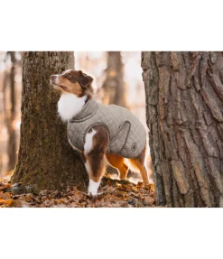 Hot Manteau avec doublure en polaire Teddy pour chien Archie, 160 g Manteaux D'Hiver Avec Garnissage, À Partir De 50G