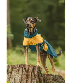 Best Manteau de pluie léger pour chien Alma, 0 g Manteaux De Pluie Sans Garnissage, 0G