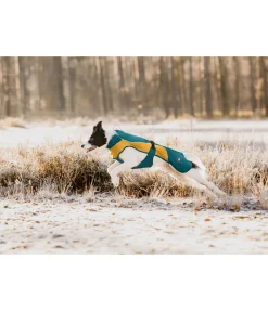 Best Manteau de pluie léger pour chien Alma, 0 g Manteaux De Pluie Sans Garnissage, 0G