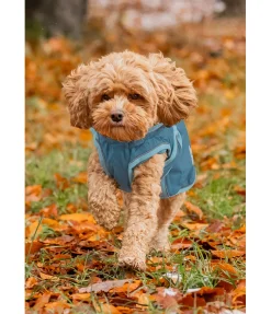 Best Manteau de pluie pour chien Eldoro II avec doublure intérieure en polaire, 0g Manteaux De Pluie Sans Garnissage, 0G