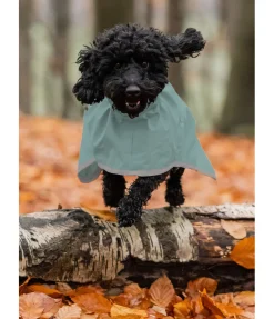 Best Manteau de pluie pour chien Thousand Islands, 0 g Manteaux De Pluie Sans Garnissage, 0G