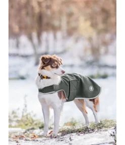 Online Manteau de randonnée softshell pour chien Athlete, 0 g Manteaux De Pluie Sans Garnissage, 0G