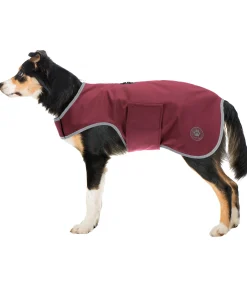 Sale Manteau de randonnée softshell pour chien Athlete, 0 g Manteaux De Pluie Sans Garnissage, 0G
