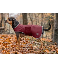 Sale Manteau de randonnée softshell pour chien Athlete, 0 g Manteaux De Pluie Sans Garnissage, 0G